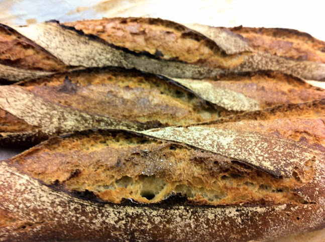 Waterloosesteenweg 1251A, 1180 Ukkel