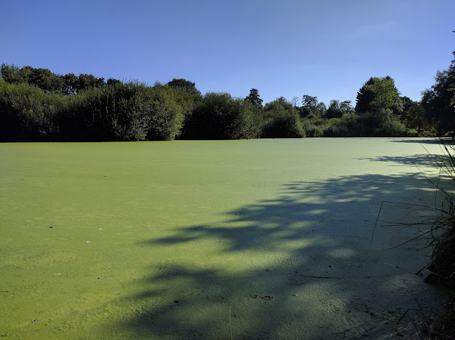 Vandenborre / Victor