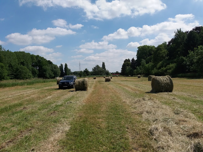 Opinii despre Vinosaurus în Evergem - Horeca
