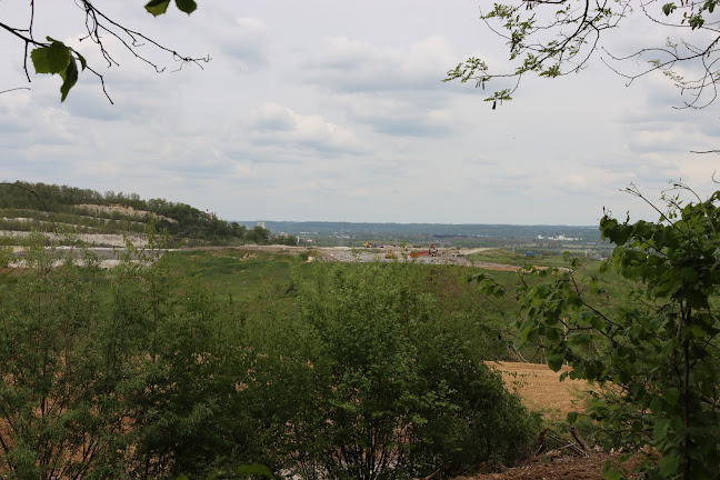 Comentarii opinii despre L'abreuvoir Café