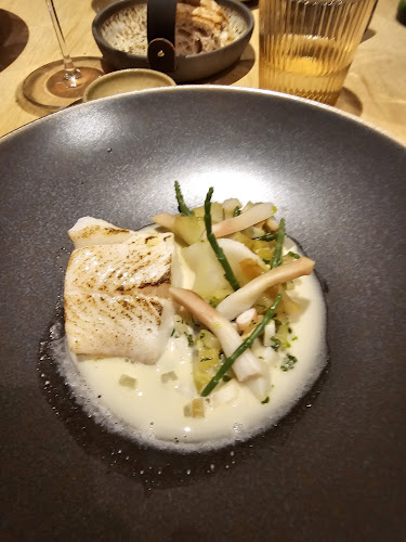 Nyde - Horeca
