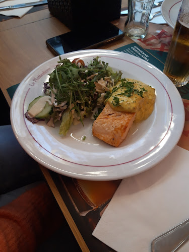 Le Plattesteen - Horeca