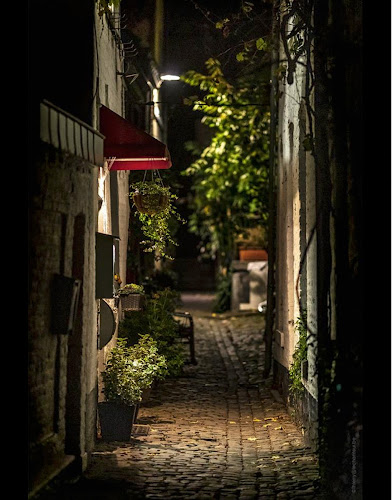 Comentarii opinii despre Le Thème