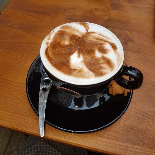 O-CORTADO - Antwerpen