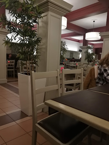 Comentarii opinii despre De Witten Vos