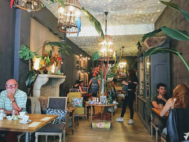 Opinii despre Blackbird în Brugge - Horeca