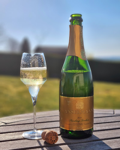 Comentarii opinii despre Wines of Earth