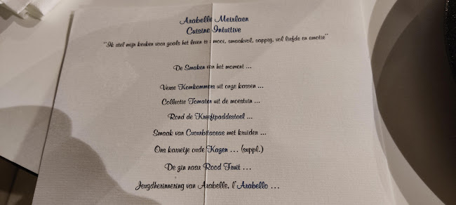 Comments and reviews of Arabelle Meirlaen