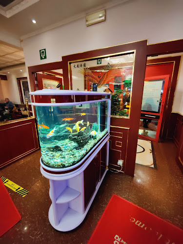 Dragon Wok - Horeca