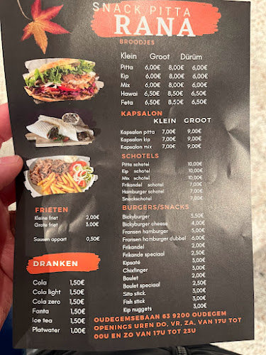 Pitta Sari Open Times