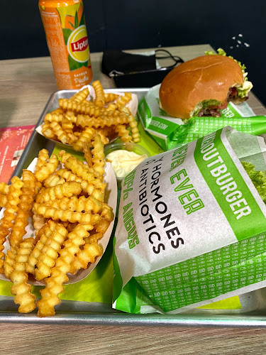 2 Rue des Manneliers, 59800 Lille, Frankrijk