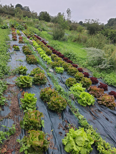 Opinii despre le pré gourmand în Somme-Leuze - Horeca