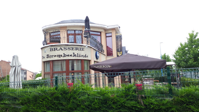 Opinii despre Indian Royal Palace în Grimbergen - Horeca