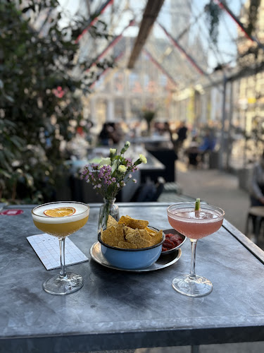 Ray klein turkije - Gent