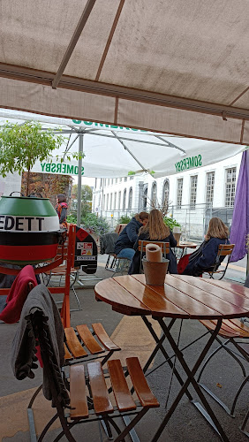 Comentarii opinii despre dewerf