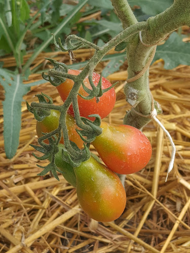 Comentarii opinii despre le pré gourmand