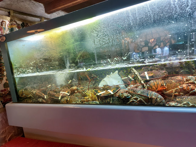 Comentarii opinii despre The Lobster House