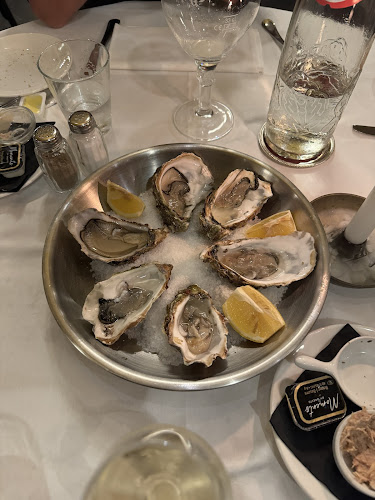 Brasserie José - Horeca