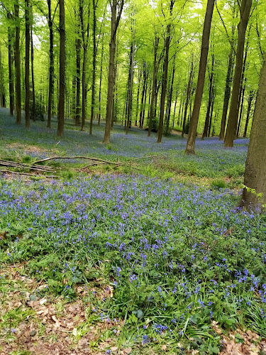 Houppe 2, 7880 Flobecq