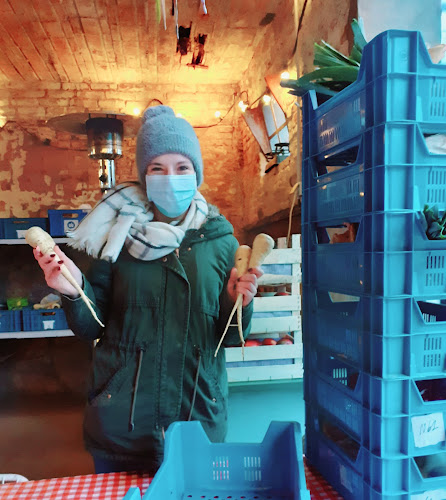 Vijversweg 3, 9406 Ninove