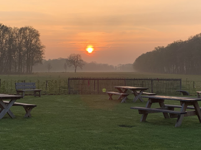 Steynehofweg 8, 2560 Nijlen