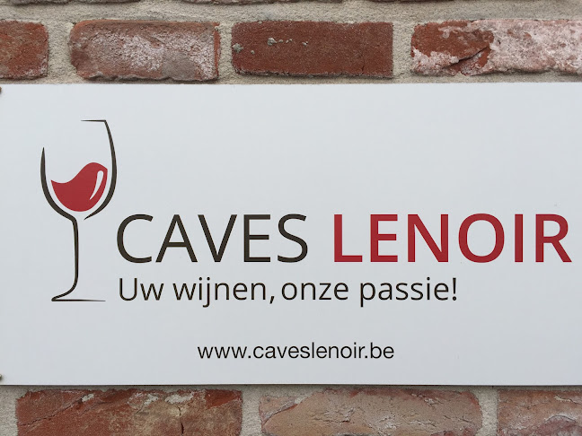 Comentarii opinii despre Caves LENOIR