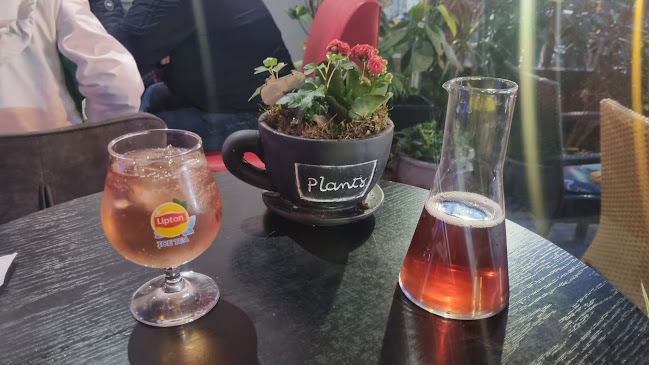 Opinii despre Marciana în Schaarbeek - Horeca