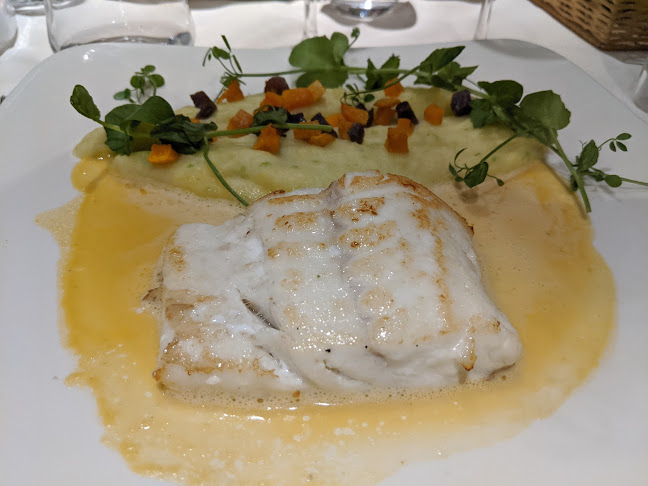 Lobster - Horeca