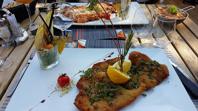 Comentarii opinii despre Delizioso