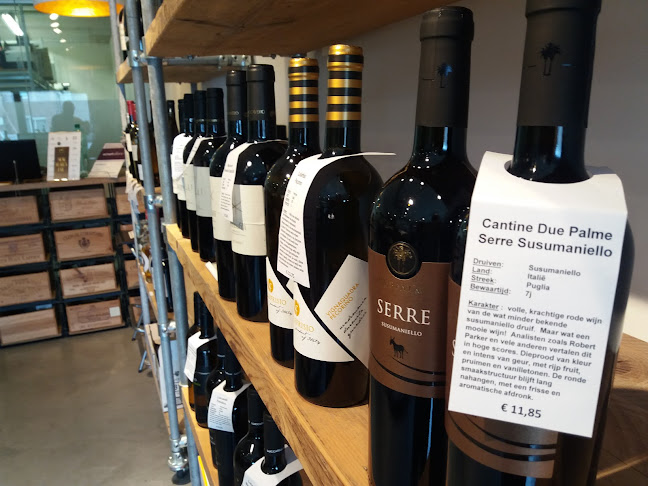 Comentarii opinii despre Wineshare - Wijnen