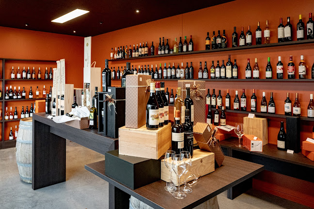 Opinii despre Delivino wijnhandel BV în Maldegem - Horeca