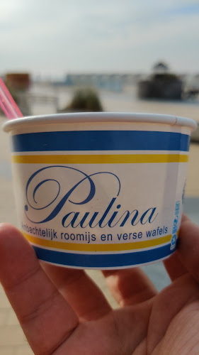 Comentarii opinii despre Paulina