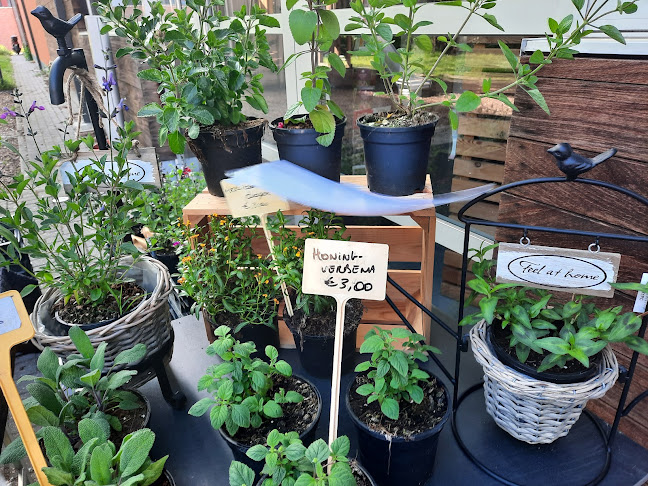 't Bruine Café - Horeca