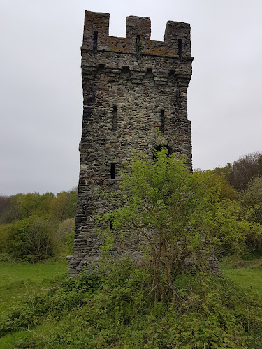 Comentarii opinii despre Vandenborre / Victor