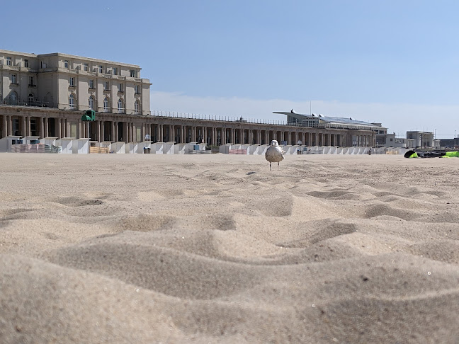 Comentarii opinii despre Brasserie ALBERT