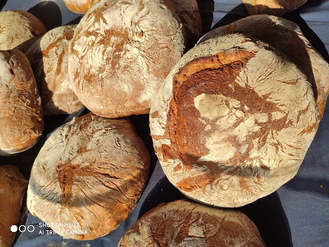 Comentarii opinii despre Pain au levain Generation