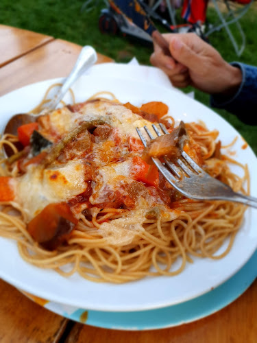 Comentarii opinii despre dewerf