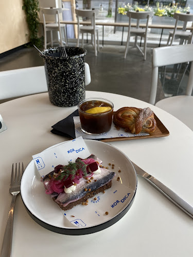 Comentarii opinii despre Nordica 31