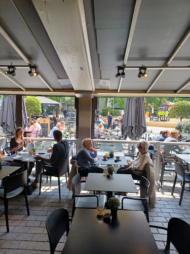 Comentarii opinii despre Maddox