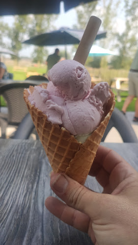 Ijsboerderij De Kerckepolder - Horeca