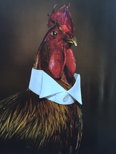 Brusselsepoortstraat 24, 2800 Mechelen