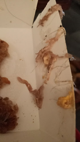 Deluxe Burger Dendermonde - Horeca