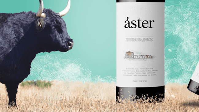 Opinii despre Pin'Art Wines & Spirits în Zemst - Horeca