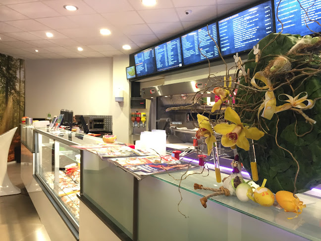 Comentarii opinii despre FritFan