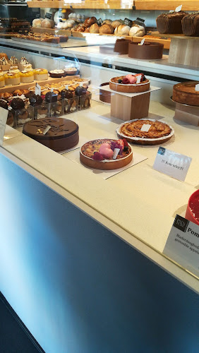 Comentarii opinii despre Painture