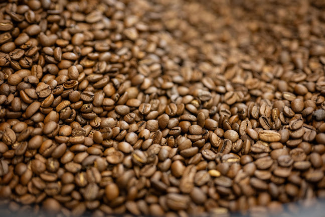 Rue des Grands Arbres 30, 6220 Fleurus