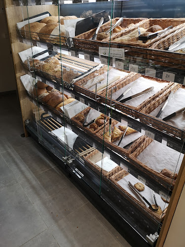 Biovita Oostende - Oostende