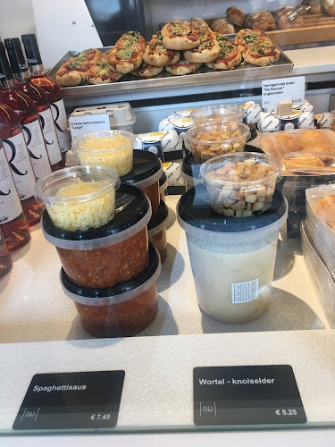 Comentarii opinii despre Painture