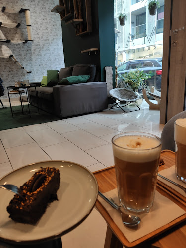 Comments and reviews of MAU kattencafé🐈‍⬛