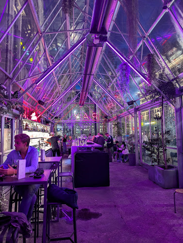 Ray klein turkije - Gent